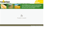 Desktop Screenshot of fourbrothersei.com